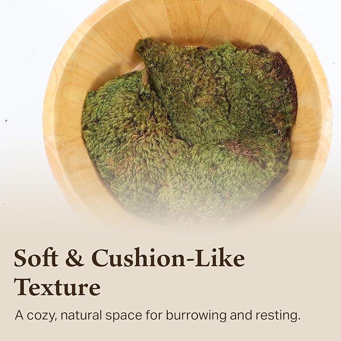 The Habitat Life - Natural Mood Moss - for Reptiles, Amphibians & Invertebrates Terrariums - Moisture-Retaining - Humidity Control - Soft Bedding - Dye-Free & Safe - Medium - 2 Pack