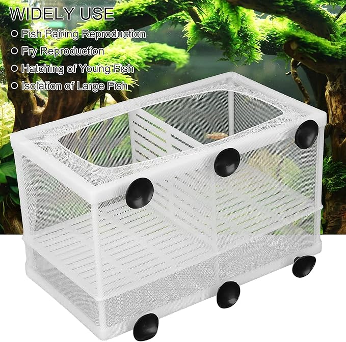 Fish Breeder Box, Fish Isolation Boxes with Suction Cups Hatching Incubator Isolation Box for Small Fishes Hatchery(L with Partition)