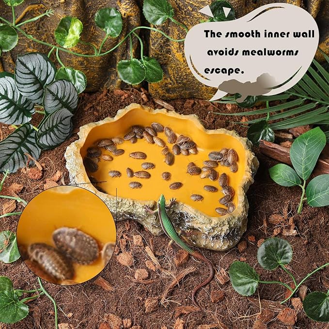 IBWell 5 Inch Reptile Food Dish Escape Proof Reptile Feeding Dish Resin Reptile Water Food Bowl for Bearded Dragon Chameleon Frog Snake Turtle Leopard Gecko