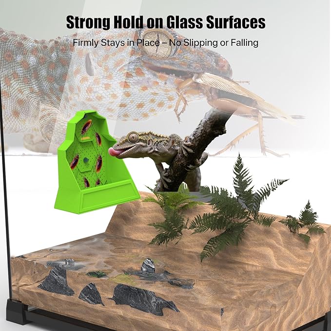 Reptile Corner Feeding Bowl with Suction Cup, Anti-Escape Insect Feeder for Chameleon, Gecko, Lizard, Frog – 7"x3"x7"