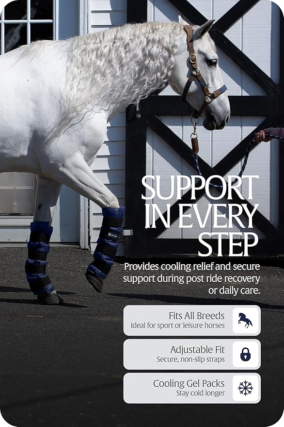 Equinavia Cool Relief Therapy Ice Boots Leg Wraps for Horses, Gel Pack with Adjustable Straps | 16.5" x 15.5" Single - Navy Blue - Single - One Size