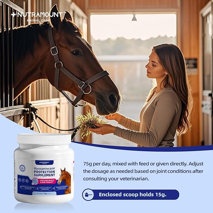 Glucosamine for Horses Joint Supplement for Horses Glucosamine Chondroitin Support Cartilage Health & Joint Mobility Horse Supplements 750g