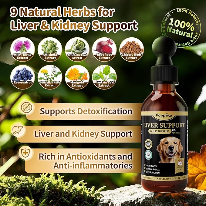 Milk Thistle for Dogs – 9-in-1 Liver and Kidney Support Drops with Artichoke, Resveratrol, Marigold Extract, 100% Natural Detox Supplement for Liver Function, Split Dropper, Chicken Flavor, 2Oz
