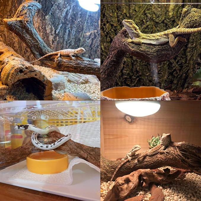 BNOSDM Reptile Forest Climbing Branch Decor Crested Gecko Climb Wood Natural Branches Tree for Snake Frog Chameleon Spider Bearded Dragon Terrarium Habitat Tank Accessories,4PCS