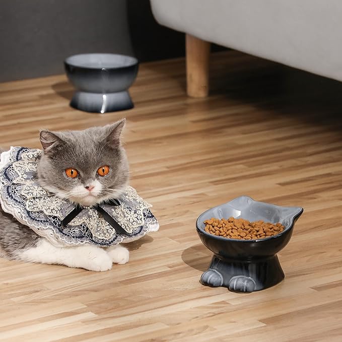 Nihow Ceramic Raised Cat & Dog Bowls: 5 Inch Elegant Gray (2 PC), Protecting Pet's Spine, Feeding & Watering Supplies, Modern Design, Anti Vomiting, Whisker Friendly