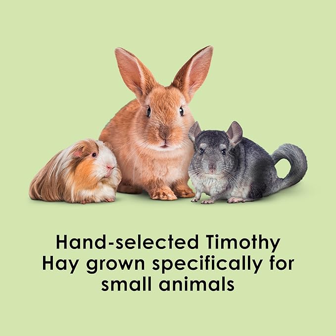 Kaytee Wafer Cut All Natural Timothy Hay for Pet Guinea Pigs, Rabbits & Other Small Animals, 11.25 Pounds