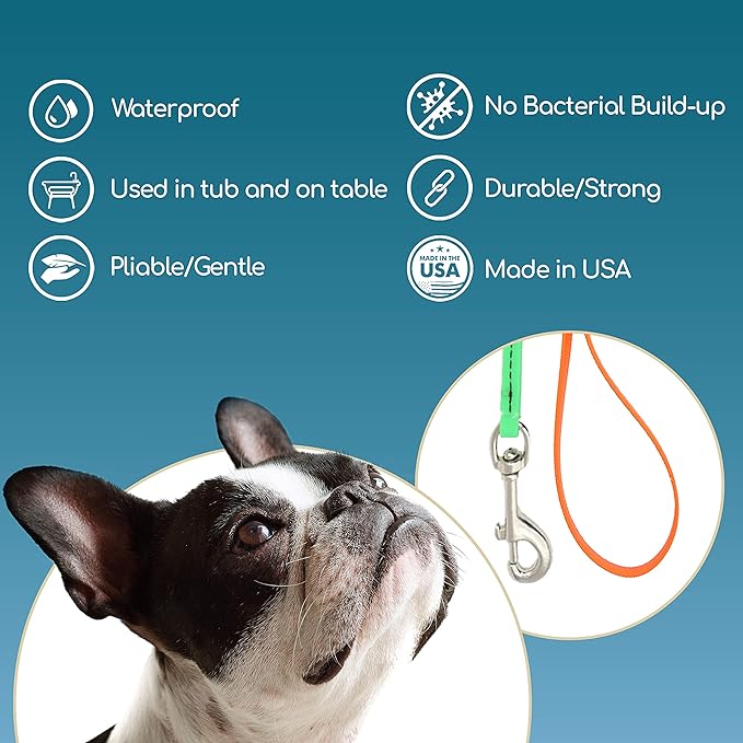Jelly Pet Grooming Lead for Dogs | Great for Kennels, Veterinarians and Dog Grooming Salons | Biothane Leash - Easy to Clean, Waterproof & Durable Noose Loop | Made in USA | 3/8'' x 4'