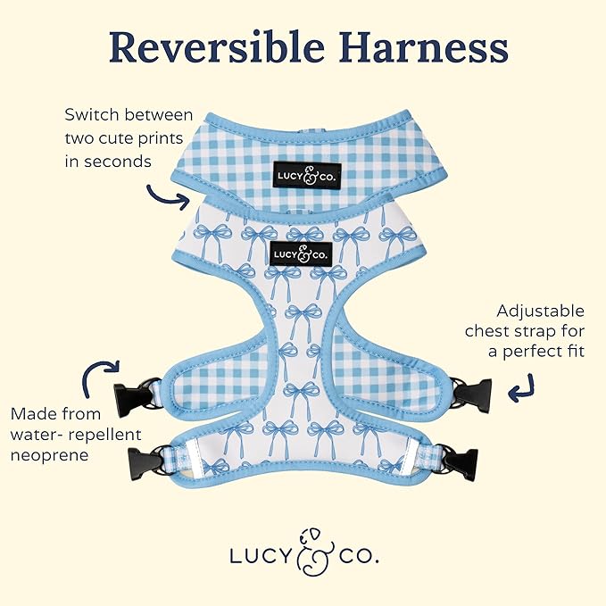 Lucy & Co. Cute Reversible Dog Harness Walking Halter - Best Designer Pet Harnesses for XS - XL Dogs - Padded Adjustable Vest for Easy Walking (Large, Purple Green Floral Checker)