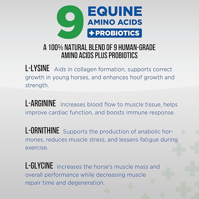Equine Total Recovery Horse Supplement - 9 Equine Amino Acids Plus Probiotics for Horses -100% Natural- No Added Sugar, No Soy, No Fillers - Horse Joint Support Supplement (100 Servings)
