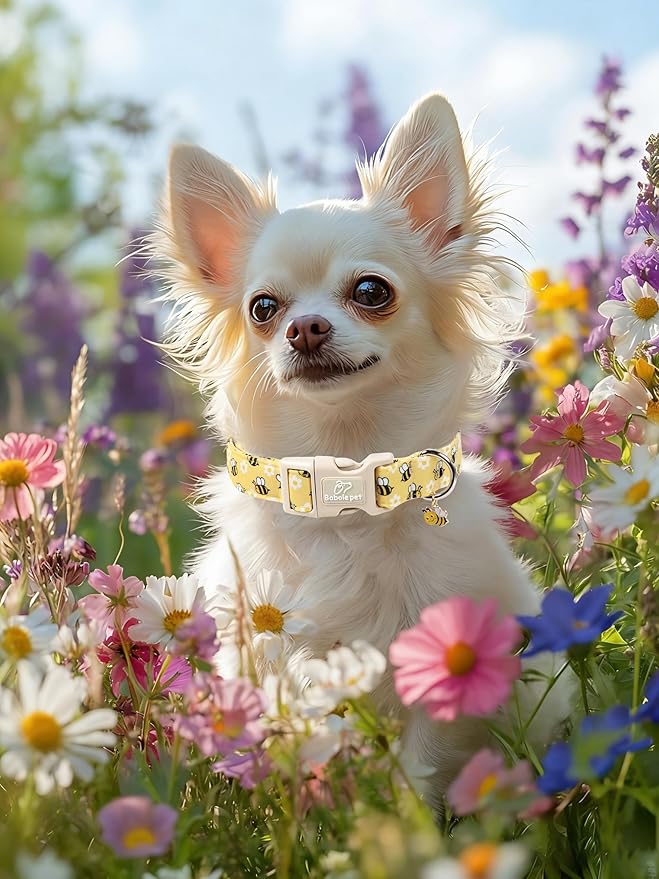 Bee & Daisy Dog Collar for Puppy Small Dogs - Spring/Summer Cartoon Yellow Dog Collars, Lightweight Adjustable Male Female Dogs Collars with Quick Release Buckle XS
