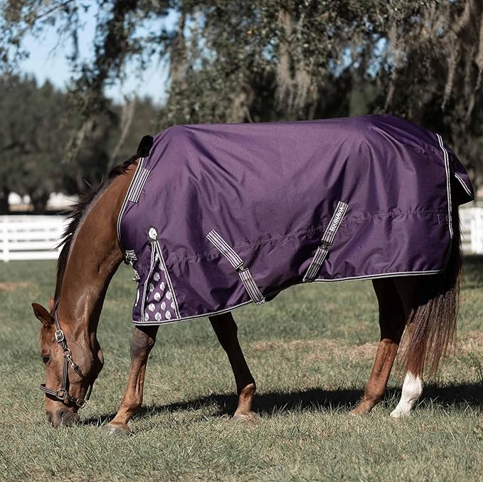 Equinavia Norse Lightweight 100g Fill Horse Rain Blanket | Waterproof Turnout Sheet - Black - 66 in - Grape Purple - 69 in