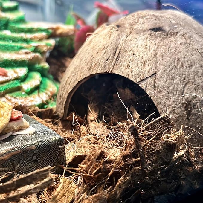 Hermit Crab Accessories, Hermit Crab Climbing Toys Bendable Bridge Coconut Shell Hideout Hut Plants for Crested Gecko Chameleon Reptile Amphibians Supplies