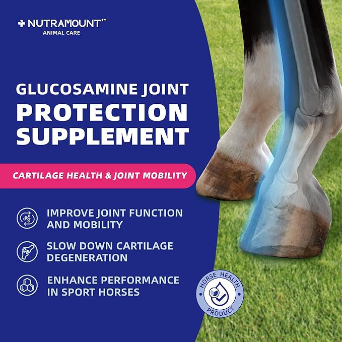 Glucosamine for Horses Joint Supplement for Horses Glucosamine Chondroitin Support Cartilage Health & Joint Mobility Horse Supplements 750g