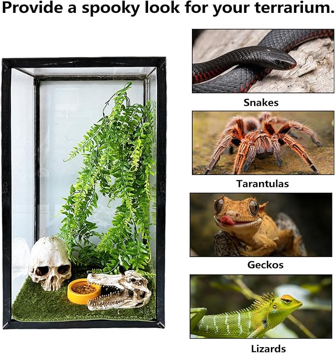 Tfwadmx Human Skull and Crocodile Skull Decor, Snake Hide, Tarantula Enclosure Accessories, Resin Skull with Vines Reptile Terrarium Tank Decor for Geckos, Lizards, Spiders