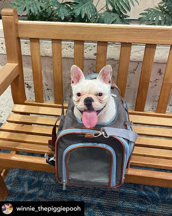 Mr. Peanut's Gold Series Big Apple XL Size Airline Compliant Expandable Pet Carrier V3.0 (Deja Blue)
