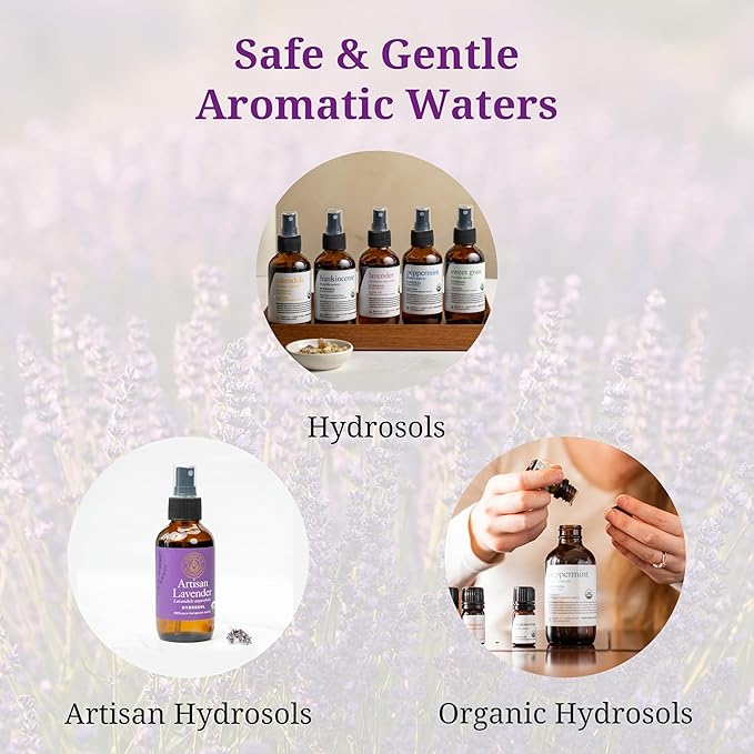 Aromatics International Elderberry Hydrosol 100ml | Herbal Aromatic Mist for Daily Care