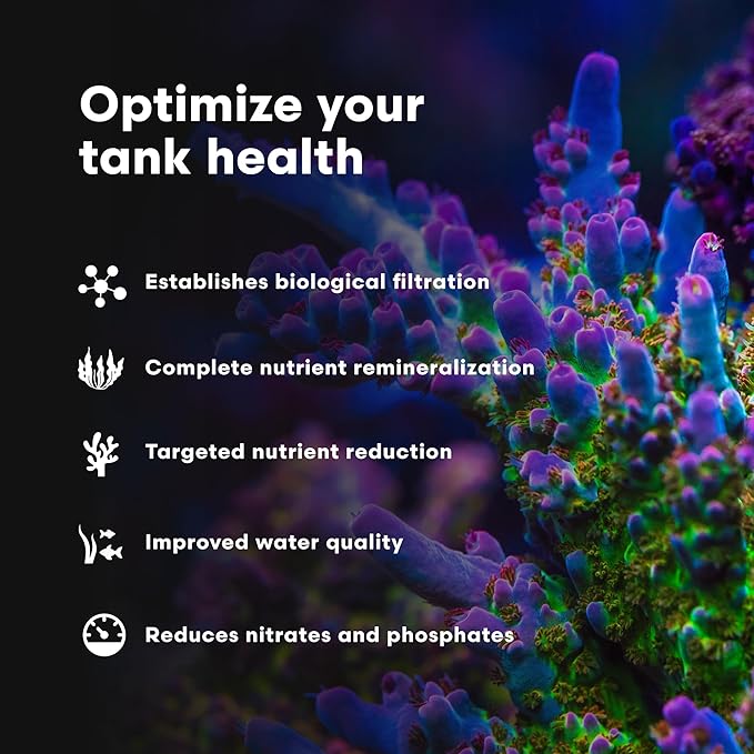 Brightwell Aquatics MicroBacter7 Complete Bioculture for Fish Tank or Aquarium - Populates Biological Filter Media for Saltwater and Freshwater Fish - Aquarium Water Treatments, 135.25 fl oz