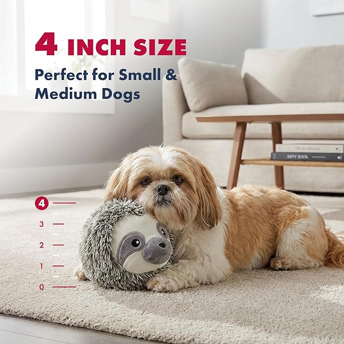 Pet Lou 4 Inch EZ Squeaky Sloth Ball Dog Plush Toy, Stuffing-Free Soft Plush, Durable Bouncy Squeaker Ball, Floats in Water, Small & Medium Breed Chew Toys