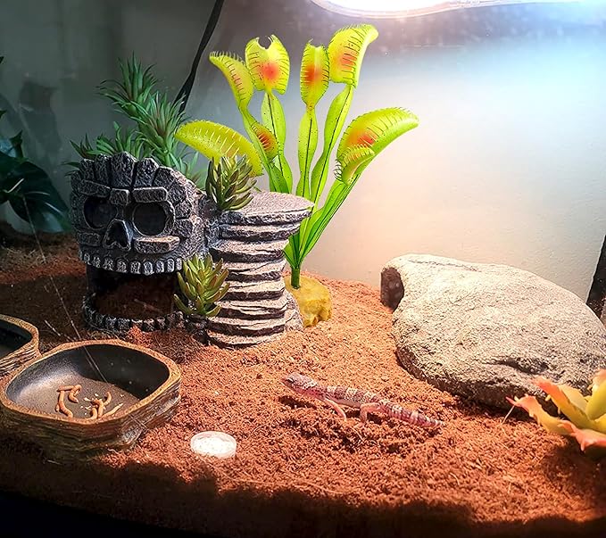 Woyrise Reptile Plants Succulent, Artificial Desert Plant for Terrarium Decor, Bearded Dragon Tank Accessories fit Gecko Lizard Chameleon Ball Python Snake - Venus Flytrap Plant