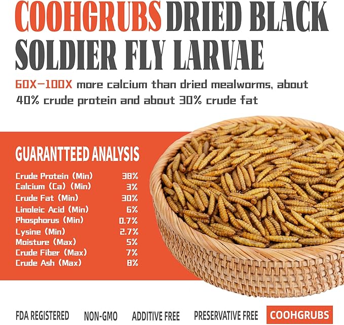 Dried Black Soldier Fly Larvae for Chickens, High-Calcium 85X More Than Mealworms Bird Treats, 5-lb Box