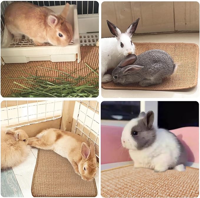 Rabbit Scratching Pad, 16 x 12 Inch Natural Sisal Bunny Scratch Mat Scratcher Mats Claws and Teeth Care for Biting Sleeping Nesting Small Animal Bedding Chew Toys Bed Play Toy (Brown, 1Pc)