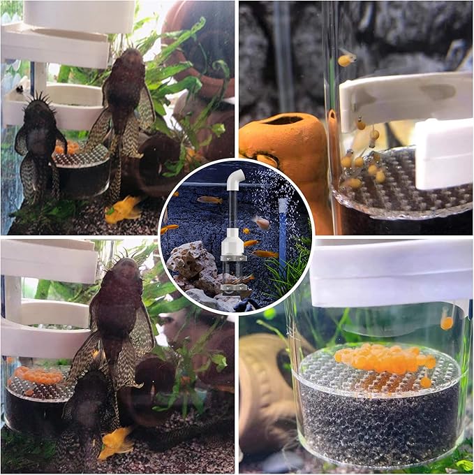 Fish Egg Incubator and Tumbler: Aquarium Cichlid Hatchery with Inbuilt Air Pump - Isolation Breeding Box, Small Fish Net and Tweezer