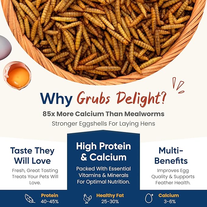 5LB Dried Black Soldier Fly Larvae for Chickens – 85x More Calcium Than Mealworms, for Chickens and Birds, 100% Natural Non-GMO Chicken Worms Treats, High Protein & Calcium Poultry Feed