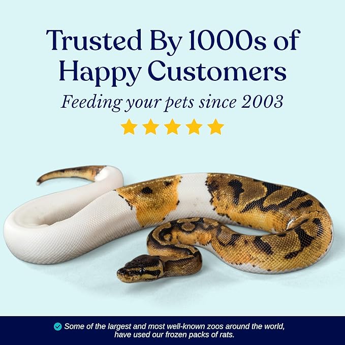MiceDirect 125 Frozen Rat Fuzzies Feeders Snake Food for Adult Corn Snakes Ball Pythons (2-2.5 in)(Pack of 125)(1125 Grams Min)