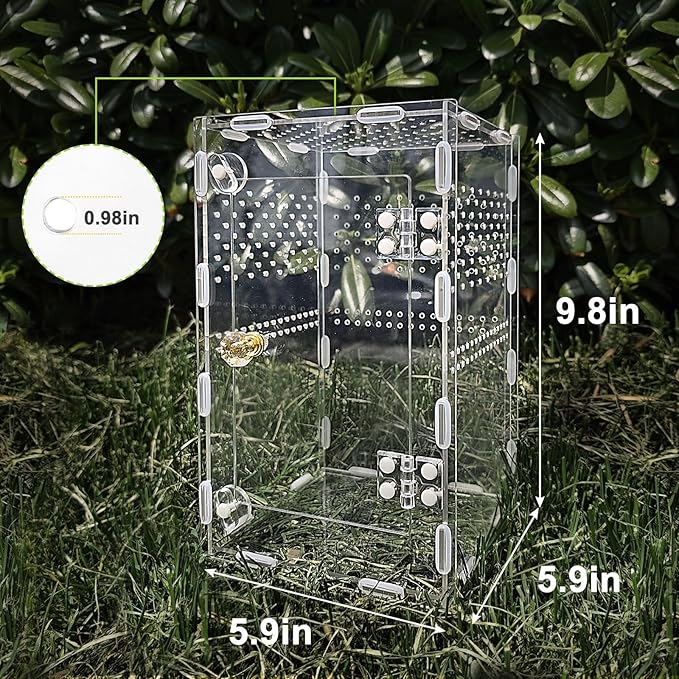 Acrylic Jumping Spider Enclosure Box: 10x6x6 Inch Transparent Habitat with Ventilation Holes, Escape-Proof Terrarium for Reptile Pet, Easy to Clean & Observe