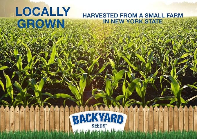 CountryMax Cracked Corn for Birds, Turkeys, Wildlife, Chickens (50 Pounds)