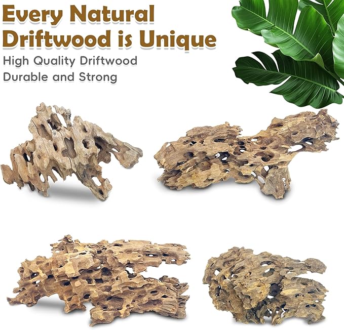 PINVNBY Natural Large Driftwood for Aquarium Reptile Terrarium Decor Decorations Assorted Branches Bearded Dragon Tank Accessories (11.5-16 inches/1 Pack)