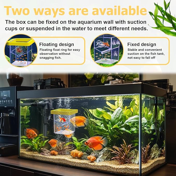 Floating Fish Breeding Isolation Box for Aquarium Tank, Acrylic Isolation Box for Baby Fish, Clownfish, Betta Eggs