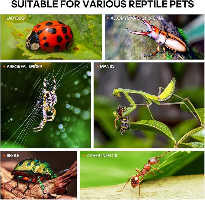 Jumping Spider Enclosure Accessories, Tarantula Spider Box, Bug Cage, Praying Mantis Habitat Enclosure, Snail Insect Terrarium, Caterpillar Habitat (3x3x6 inch)