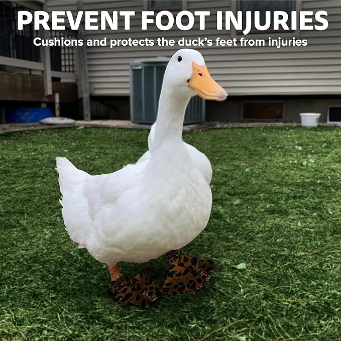 Duck Shoes for Injured Feet – Protective Neoprene Footwear for Ducks, Protective Shoes for Birds with Injured feet, Bumblefoot Relief - Medium, 3.5” Max. Inside Width - Leopard