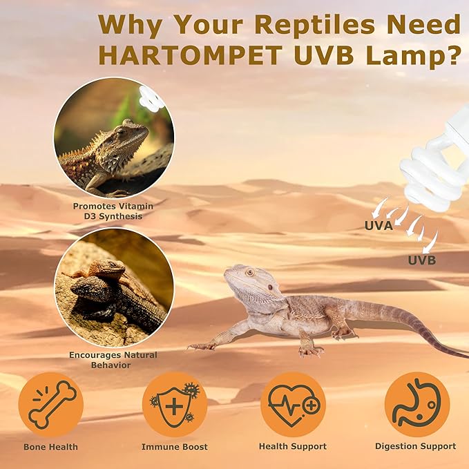 UVB 10.0 Reptile Light 13W, Compact Fluorescent Desert Lamp, High-Output Coil UVB Bulbs for Terrarium Tanks, Suitable for Bearded Dragons, Geckos and Other Desert-Dwelling Reptile