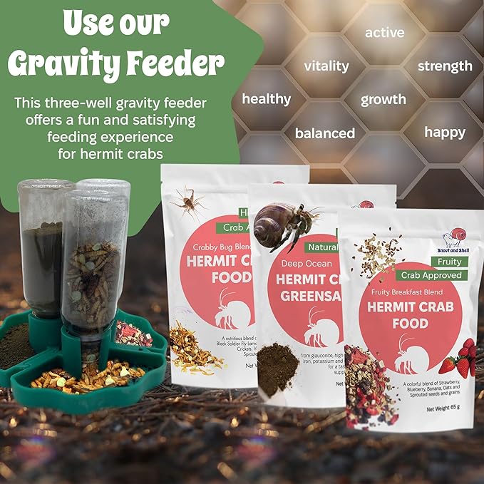 Snout and Shell Hermit Crab Food Bundle – Fruity Breakfast Blend, Crabby Bug Blend & Greensand – Organic, High Protein, Natural Minerals – Complete Nutrition for Healthy Shell Growth & Vitality