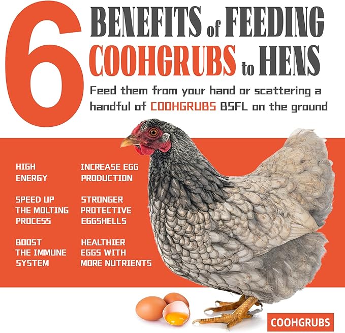 Dried Black Soldier Fly Larvae for Chickens, High-Calcium 85X More Than Mealworms Bird Treats, 5-lb Box