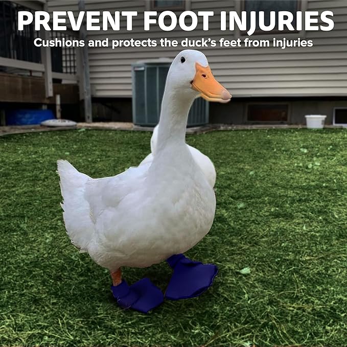 Duck Shoes for Injured Feet – Protective Neoprene Footwear for Ducks, Protective Shoes for Birds with Injured feet, Bumblefoot Relief - Medium, 3.5” Max. Inside Width - Royal Blue