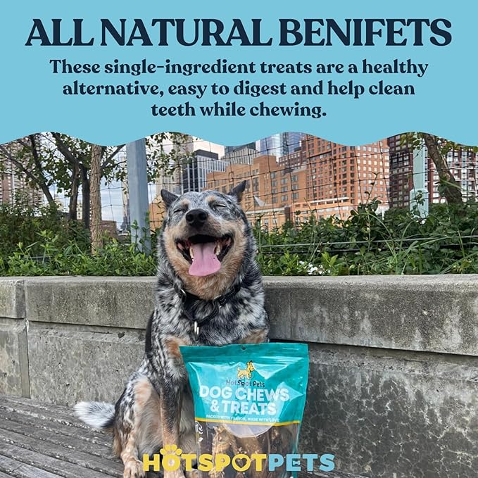 hotspot pets 8-9 Inch Large Rawhide Dog Chew Bones (10 Pack)- Made from Grass Fed Cows - Great for Dental & Oral Care for Aggressive Chewers Large Dogs