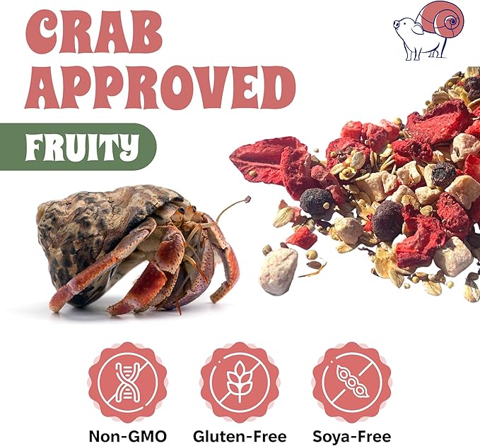 Natural Hermit Crab Food – High-Protein Hermit Food with Real Fruit and Sprouted Grains – 65 g (2.3 oz) Crab Food for Pet Hermit Crabs by Snout and Shell