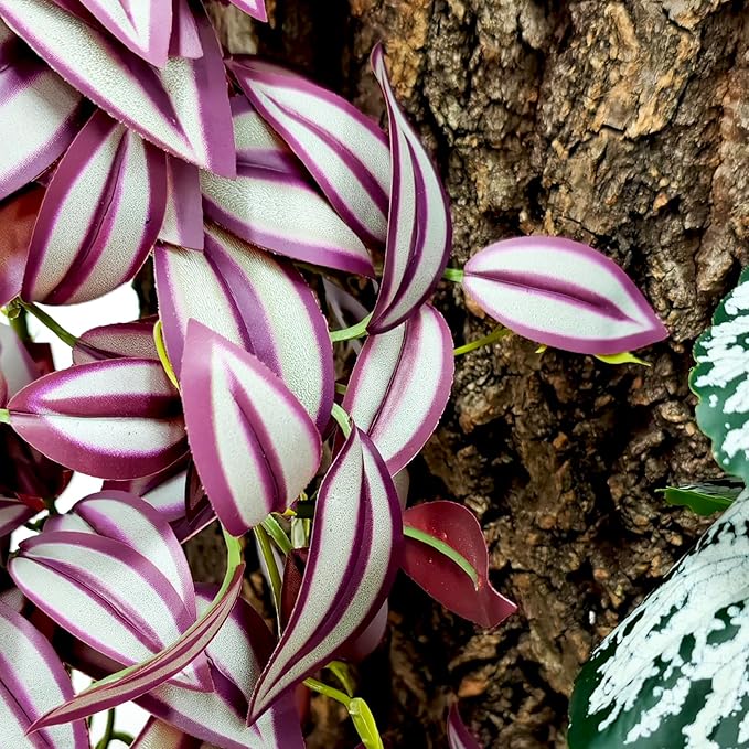 Woyrise Reptile Plants, Terrarium Hanging Plant Vines, Artificial Leaves with Suction Cup, Bearded Dragon Tank Accessories for Gecko Lizard Snake Frog Tortoise Decorations - Purple Zebrina