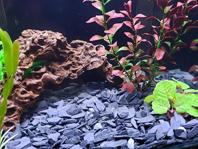 Small World Slate & Stone Aquarium Gravel 6lbs - Natural Substrate for Aquascaping Planted, Freshwater and Saltwater Tanks - Grey - Gravel Size Approx. 1/4"-1/2" (6 lbs)