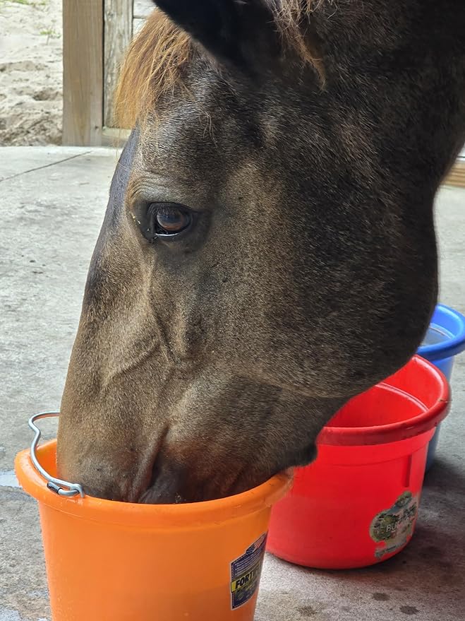 Low Calorie Hydration, Feed Topper & Treat | Safe, NO Electrolyte/Salt for Daily Intake | No Sugar Added | Hydration Support for Horses, Livestock & Dogs | 8 Servings | Caked Up Carrot