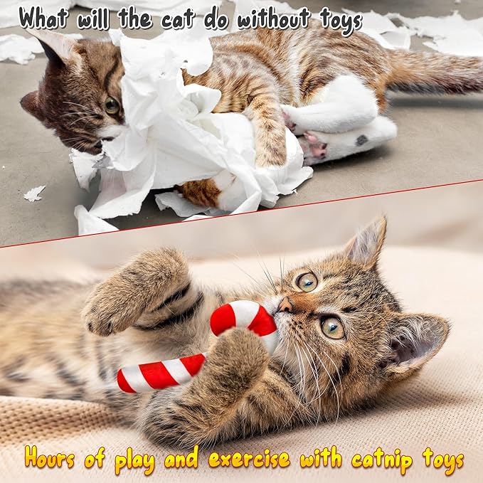 MALLMALL6 3Pcs Christmas Candy Cane Catnip Toys Gift for Cat, Indoor Cat Chew Bite Kick Catmint Pet Toys Supplies for Cat Lover Xmas Gifts, Cute Interactive Cat Toy for Pet Presents (Tricolor)