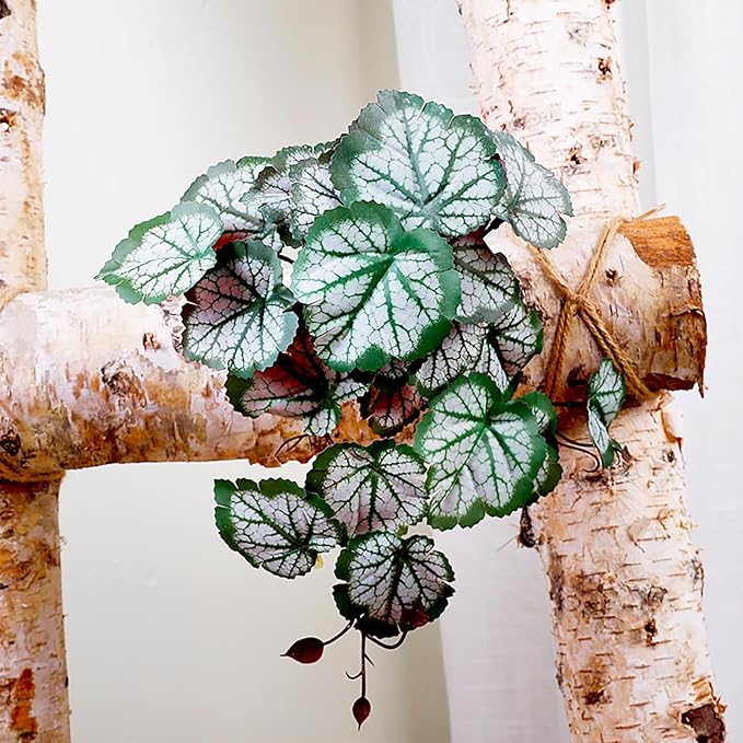Woyrise Reptile Plants, Terrarium Hanging Plants Vines for Reptile Tank, Amphibian Habitat Leaves Decor with Suction Cups for Bearded Dragon Lizard Snake Gecko Frog Hermit Crab - 2Pack Green Heuchera