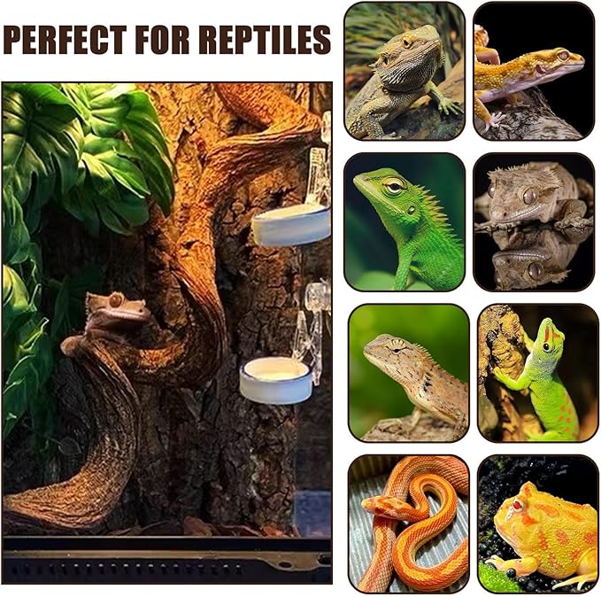 BNOSDM 3PCS Natural Reptile Climbing Branches Decor,1.2-1.8" Thick Natural Snake Climbing Forest Wood with Plant Leaf Decor,Lizard Forest Branch,Geckos Tank Tree Trunk Accessories for Bearded Dragons