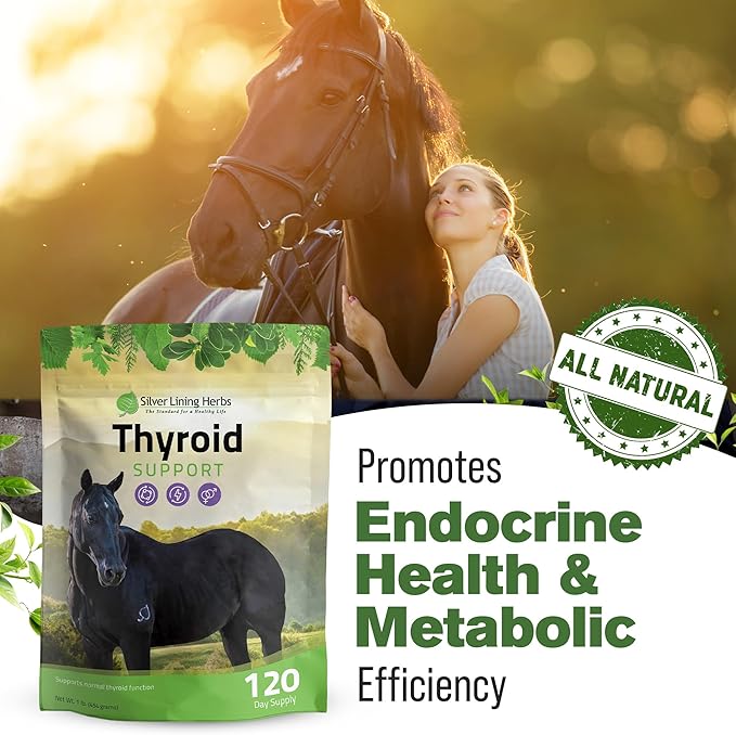Silver Lining Herbs Thyroid Support for Horses – Herbal Horse Supplement for Normal Thyroid Function, Hormone Balance & Healthy Metabolism with Irish Moss, Kelp, Parsley – 120-Day Supply