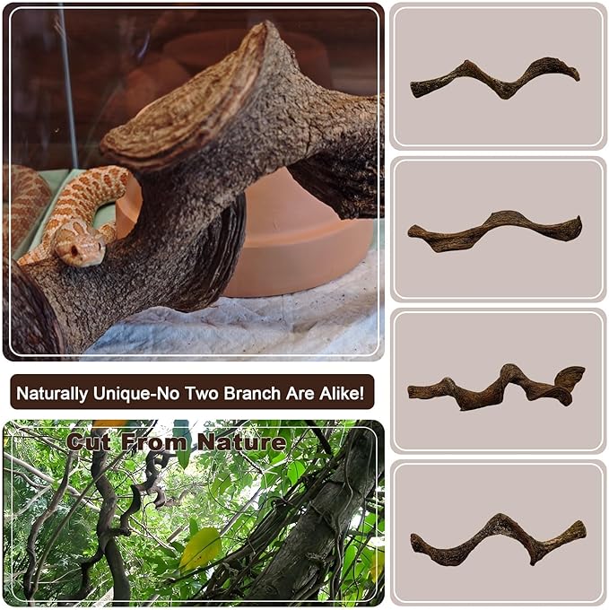 BNOSDM 4PCS Natural Reptile Climbing Branches Decor,0.8-1.2" Thick Snake Climbing Forest Wood with Plant Leaf Decor,Lizard Forest Branch,Geckos Tank Tree Trunk Accessories for Bearded Dragons