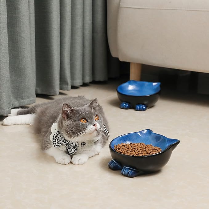 Nihow Ceramic Basic Cat Bowls: 6.25 Inch Cat Bowl for Food & Water - Food Grade Cat Dish for Large-Sized Cat/Medium-Sized Dog - Microwave & Dishwasher Safe -Elegant Blue & Black (8.5 OZ /1 PC)