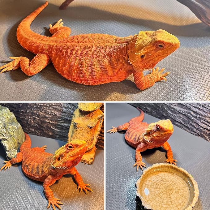 Reptile Carpet, Bearded Dragon Tank Accessories, Terrarium Liner Bedding, Non-Adhesive Terrarium Carpet for Bearded Dragon, Leopard Gecko, Snake, Lizard, Tortoise, Iguana Reptile Tank Grey(18"x72")